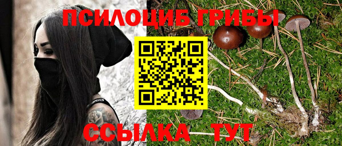 Галлюциногенные грибы ЛСД  Вход с VPN  Галлюциногенные грибы мицелий  наркошоп  Ревда 