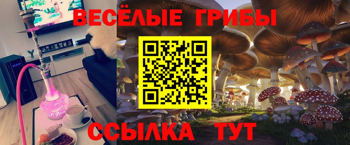 Галлюциногенные грибы ЛСД Ревда